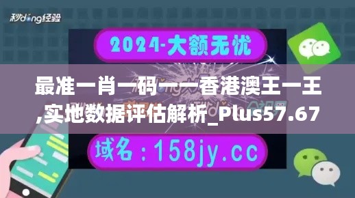 最准一肖一码一一香港澳王一王,实地数据评估解析_Plus57.67