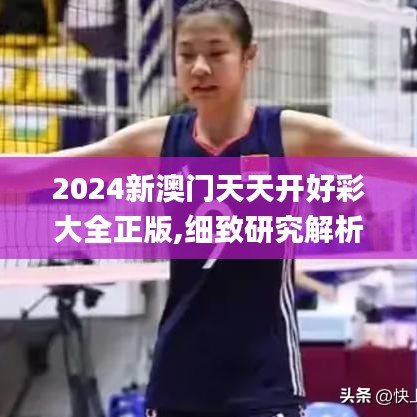 2024新澳门天天开好彩大全正版,细致研究解析方案_尊贵集53.086