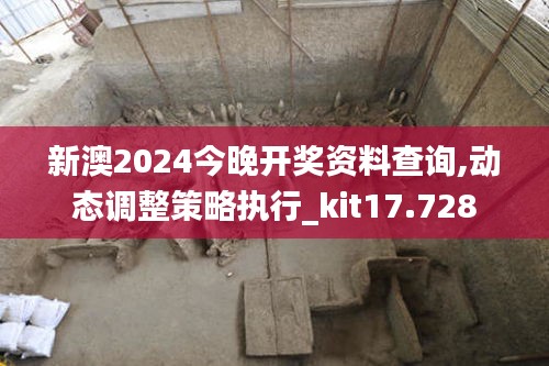 新澳2024今晚开奖资料查询,动态调整策略执行_kit17.728