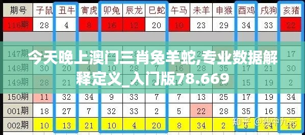 今天晚上澳门三肖兔羊蛇,专业数据解释定义_入门版78.669