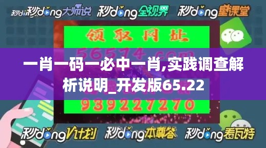 一肖一码一必中一肖,实践调查解析说明_开发版65.22