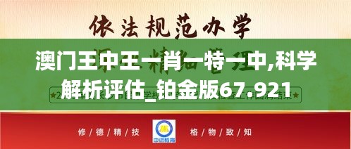 澳门王中王一肖一特一中,科学解析评估_铂金版67.921