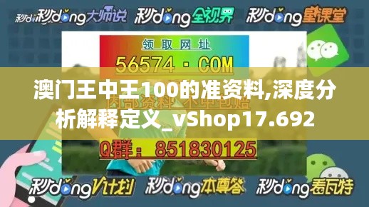 澳门王中王100的准资料,深度分析解释定义_vShop17.692