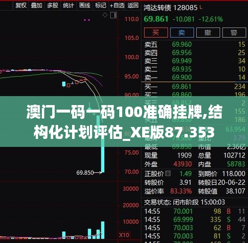 澳门一码一码100准确挂牌,结构化计划评估_XE版87.353