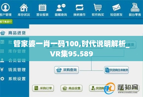 管家婆一肖一码100,时代说明解析_VR集95.589