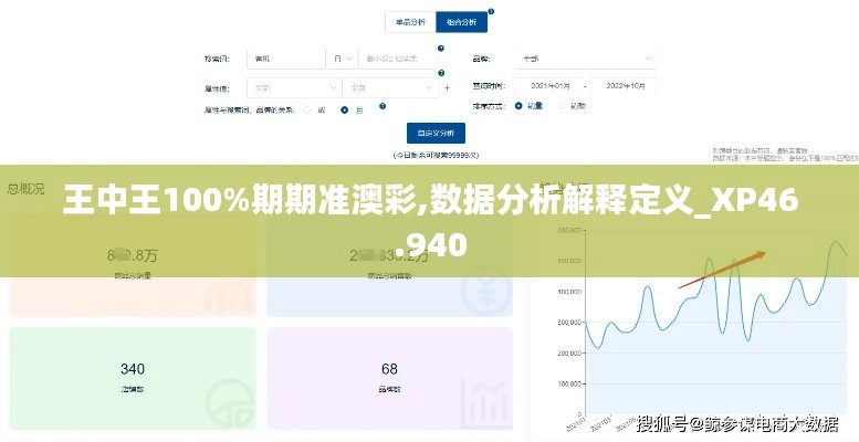 王中王100%期期准澳彩,数据分析解释定义_XP46.940