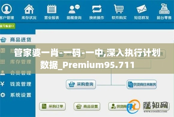 管家婆一肖-一码-一中,深入执行计划数据_Premium95.711