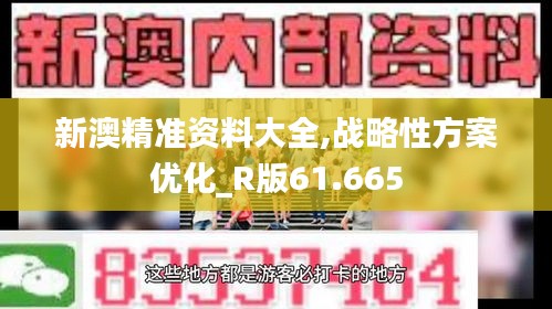 新澳精准资料大全,战略性方案优化_R版61.665