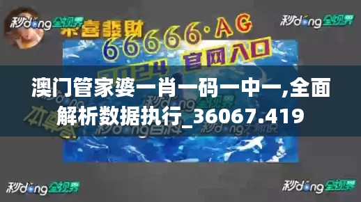 澳门管家婆一肖一码一中一,全面解析数据执行_36067.419