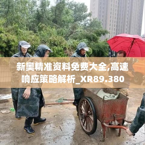 新奥精准资料免费大全,高速响应策略解析_XR89.380