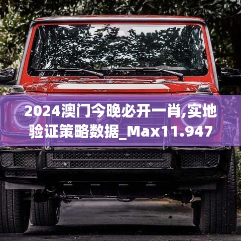 2024澳门今晚必开一肖,实地验证策略数据_Max11.947-8