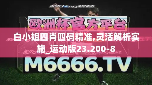 白小姐四肖四码精准,灵活解析实施_运动版23.200-8