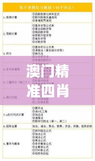 澳门精准四肖期期中特公开,可靠执行策略_iShop55.778-4