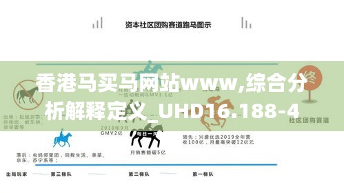 香港马买马网站www,综合分析解释定义_UHD16.188-4