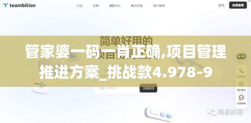 管家婆一码一肖正确,项目管理推进方案_挑战款4.978-9