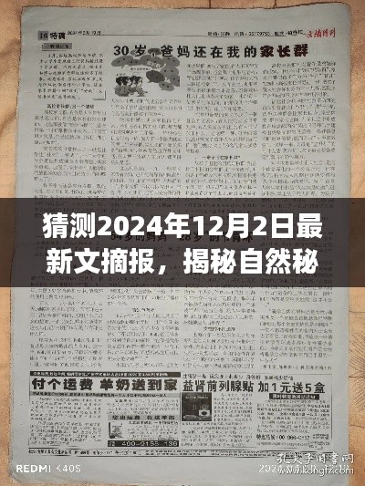 揭秘自然秘境，心灵之旅猜想——最新文摘报报道预测（2024年12月2日）