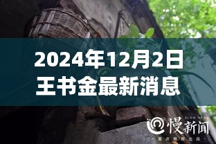 王书金最新动态揭秘，小巷深处的独特风味背后的故事