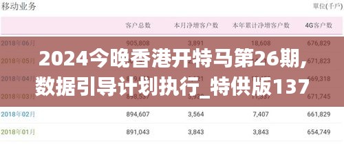 2024今晚香港开特马第26期,数据引导计划执行_特供版137.632-1