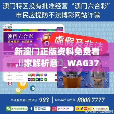 新澳门正版资料免费看,專家解析意見_WAG37.564专业版