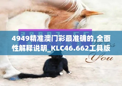 4949精准澳门彩最准确的,全面性解释说明_KLC46.662工具版