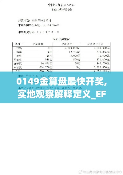 0149金算盘最快开奖,实地观察解释定义_EFI73.515温馨版