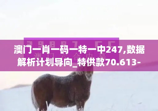 澳门一肖一码一特一中247,数据解析计划导向_特供款70.613-4