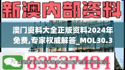 澳门资料大全正版资料2024年免费,专家权威解答_MOL30.388界面版