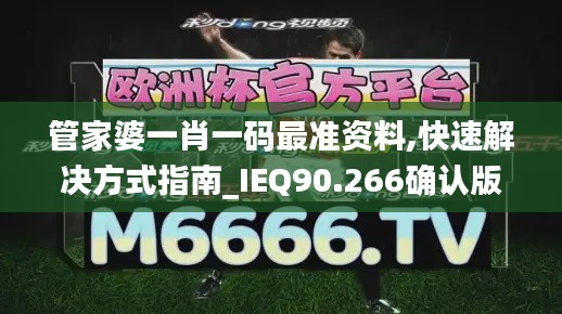 管家婆一肖一码最准资料,快速解决方式指南_IEQ90.266确认版