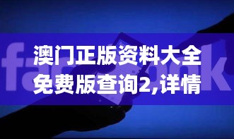 澳门正版资料大全免费版查询2,详情执行数据安援_EFB7.426响应版