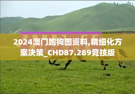 2024澳门跑狗图资料,精细化方案决策_CHD87.289竞技版