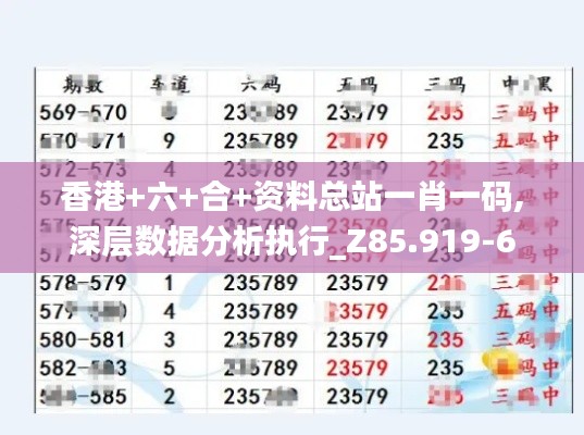 香港+六+合+资料总站一肖一码,深层数据分析执行_Z85.919-6