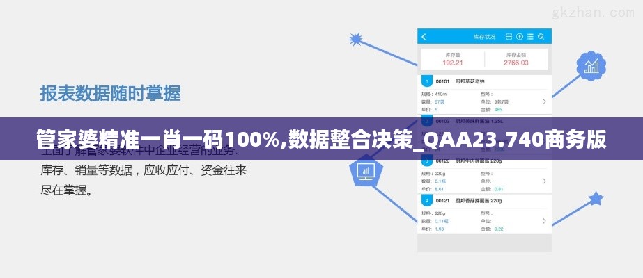 管家婆精准一肖一码100%,数据整合决策_QAA23.740商务版