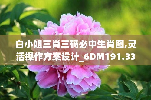 白小姐三肖三码必中生肖图,灵活操作方案设计_6DM191.338-9