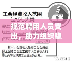 规范聘用人员支出，助力组织稳健发展之道