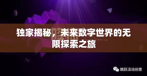 独家揭秘，未来数字世界的无限探索之旅