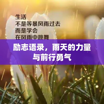 励志语录，雨天的力量与前行勇气