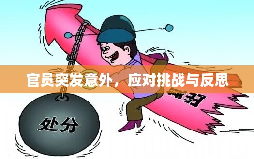 官员突发意外，应对挑战与反思