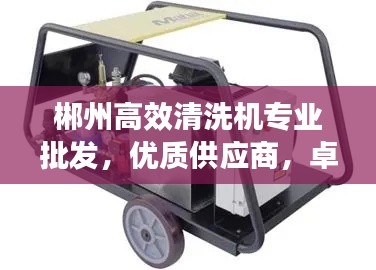 郴州高效清洗机专业批发，优质供应商，卓越品质