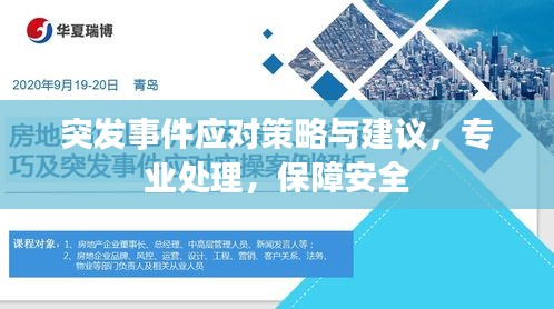 突发事件应对策略与建议，专业处理，保障安全