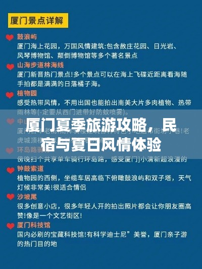 厦门夏季旅游攻略，民宿与夏日风情体验