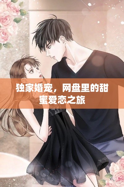 独家婚宠，网盘里的甜蜜爱恋之旅