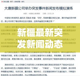 新疆最新突发新闻动态深度分析