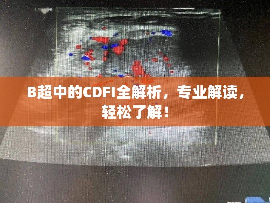 B超中的CDFI全解析，专业解读，轻松了解！
