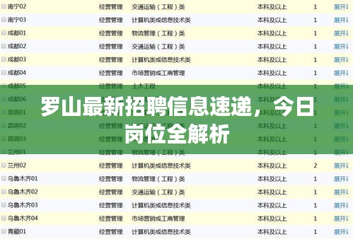 罗山最新招聘信息速递，今日岗位全解析