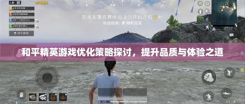 和平精英游戏优化策略探讨，提升品质与体验之道