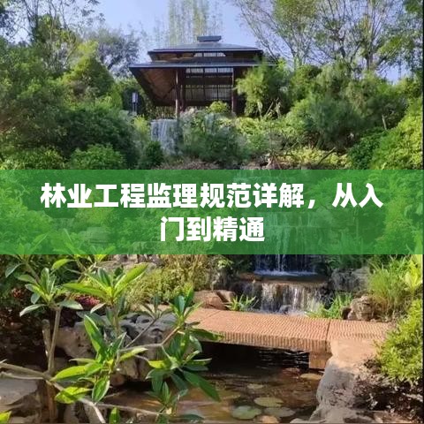 林业工程监理规范详解，从入门到精通