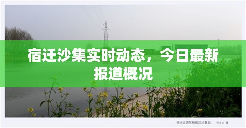 宿迁沙集实时动态，今日最新报道概况
