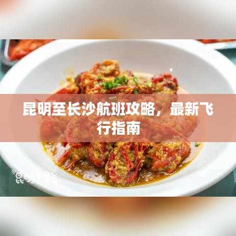 昆明至长沙航班攻略，最新飞行指南