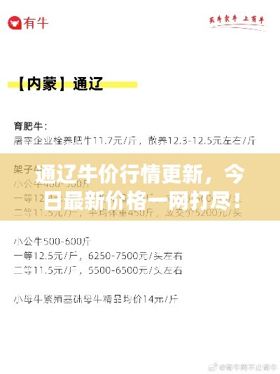 通辽牛价行情更新，今日最新价格一网打尽！