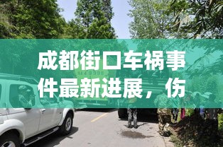 成都街口车祸事件最新进展，伤亡情况、原因调查及救援措施揭秘